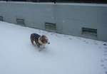 DSCF0201.JPG