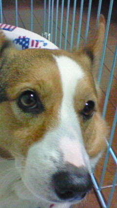 200801141758001.jpg
