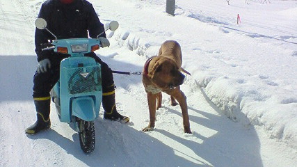 200802051101000.jpg