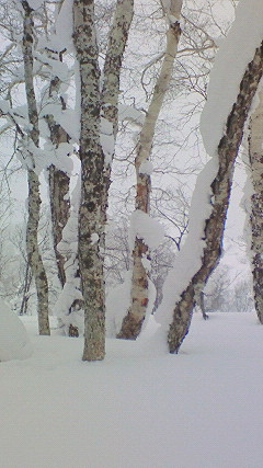 200802051501002.jpg