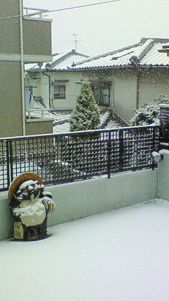200802091146000.jpg