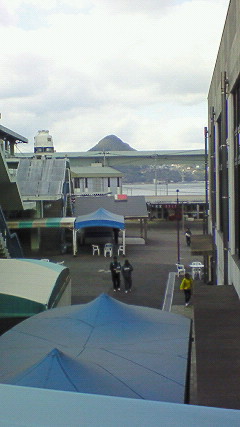 200802161134000.jpg