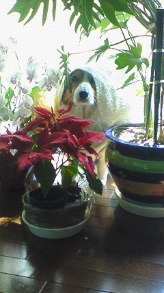 200803271248000.jpg