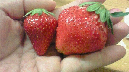 200804202022000.jpg