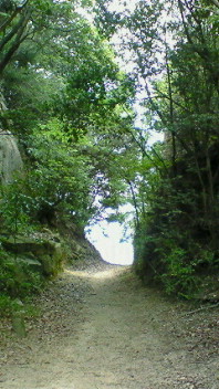 200806181203000.jpg