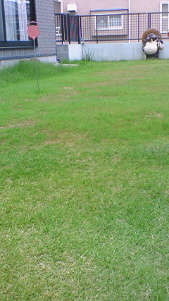 200806301330000.jpg