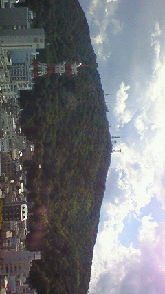 200808141457002.jpg