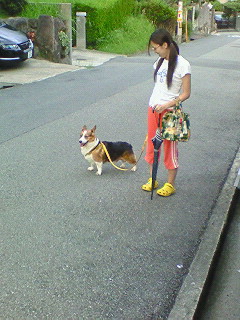 200809041733000.jpg