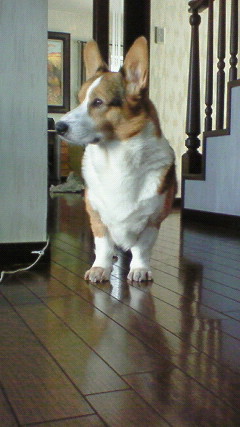 200809221229000.jpg