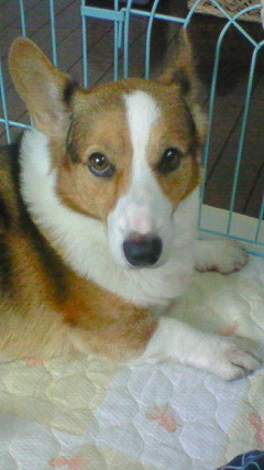 200810091024000.jpg