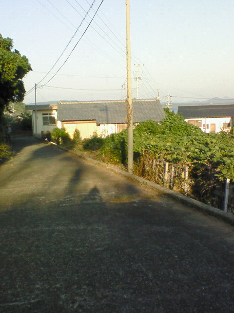 200811041632000.jpg