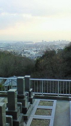 200812281630000.jpg