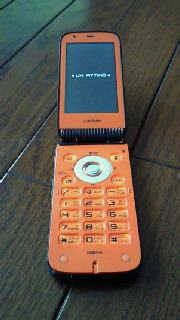 200901241637000.jpg