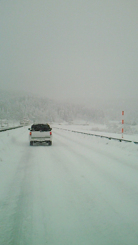 200901251315000.jpg